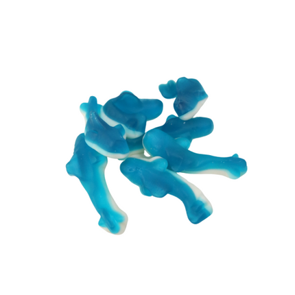 Park Lane Jelly Shark/Dolphins 2.5kg